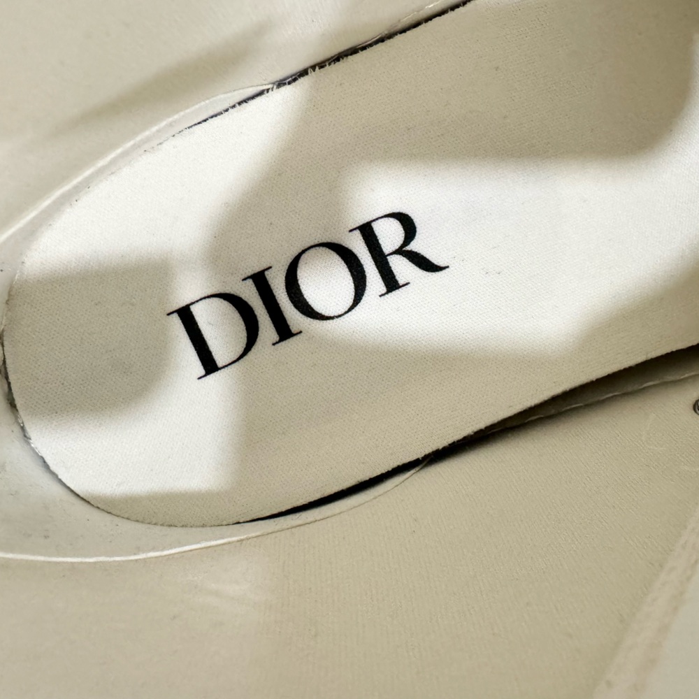 DIOR B23 White Canvas with AsteroDior Signature High Top Sneakers - Picture 8 of 16